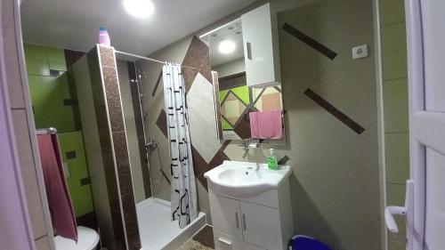 a bathroom with a sink and a shower and a toilet at D,apartman' ulica pušća 51, 51513 Omišalj in Omišalj