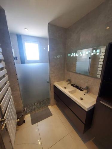 une salle de bain avec un lavabo et une douche dans l'établissement T3 avec parking et balcon-Groupama Stadium-Eurexpo, à Le Carreau