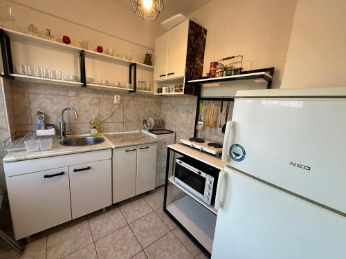 Η κουζίνα ή μικρή κουζίνα στο Apartman Alisa