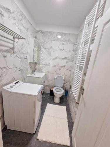 a bathroom with a white toilet and a sink at Albert Apartament 2 in Roşu