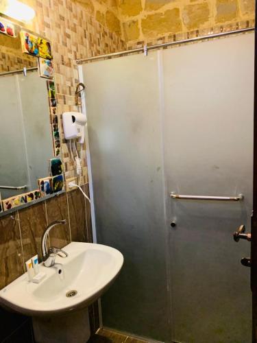 a bathroom with a sink and a glass shower door at palm shadow resort in Tunis