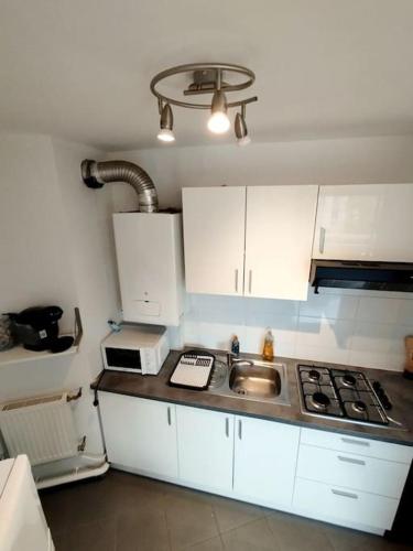 une petite cuisine avec un évier et une cuisinière dans l'établissement Idéalement situé pour tous III, à Dijon