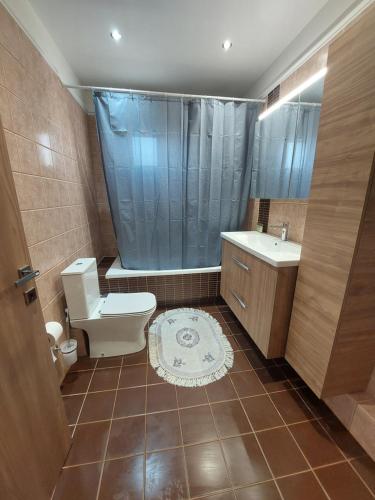 a bathroom with a toilet and a sink at Aquarium House in Kalabaka