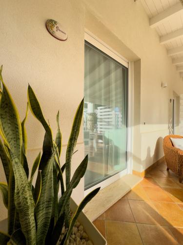 a plant in a room with a large window at Casa Vacanze Il Vigneto in Marsala