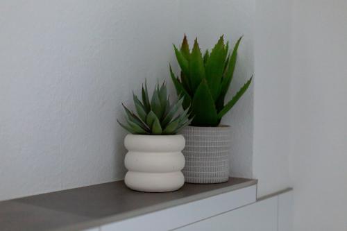 two plants in vases sitting on a shelf at BEST STAY CityAppartment Hünfeld- SmartTV FreeWlan Balkon, in wenigen Minuten am Bahnhof, Innenstadt und doch ruhig gelegen - ideal für Paare oder Geschäftsreisen in Hünfeld