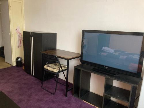 TV a/nebo společenská místnost v ubytování Garsoniera U lesoparku