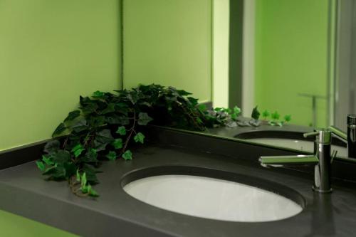 Un baño con dos lavabos con una planta en la encimera. en NEW Mini Loft per 3 a Roma centro, en Roma