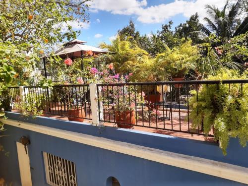 a balcony with potted plants on it at Palacio Canton Hotel - Valladolid in Valladolid