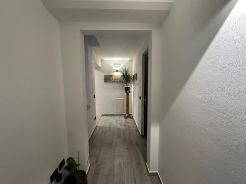 Venus Two-Floored Stylish Apartment in the City Center photo 22