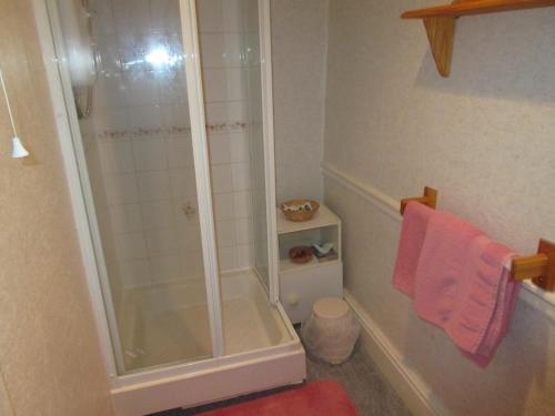 Ty Newydd Guest House tesisinde bir banyo