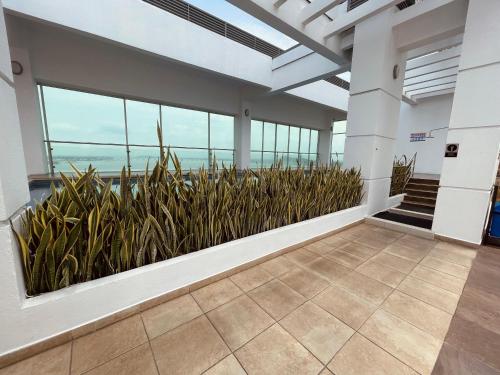 a room with plants in the middle of a building at Gallery Suite en Riverfront Puerto Santa Ana in Guayaquil