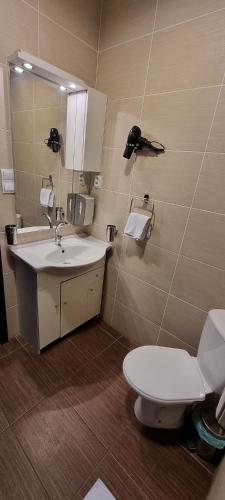 a bathroom with a sink and a toilet and a mirror at Elite Pension in Štúrovo