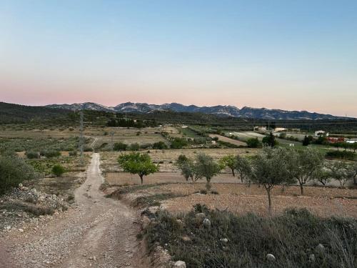 a dirt road in a field with trees and mountains at Rural Stone House with wood fireplace in Pinell de Bray