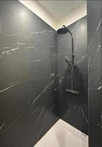 La salle de bains est pourvue d'une douche avec un mur noir. dans l'établissement Le Jardin d'Éden Premium - équipé, balcon, hypercentre, à Toulouse