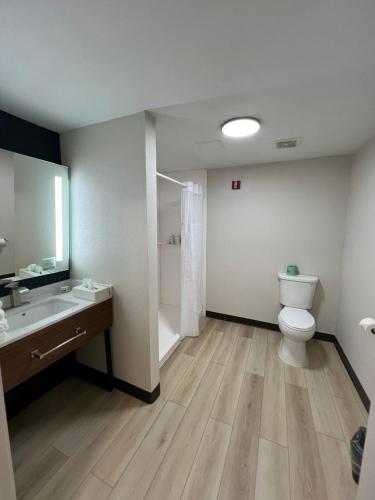 a bathroom with a toilet and a sink and a shower at Wingate by Wyndham I-81 Exit 101- Newly Renovated in Dublin
