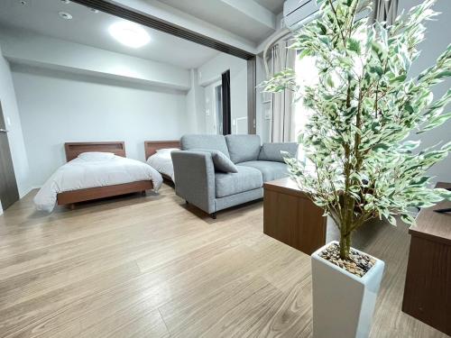 a living room with a couch and a potted tree at 1101 札幌中心部 アクセス最高 すすきの駅より徒歩5分 in Sapporo