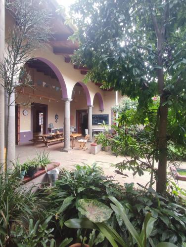 a courtyard of a building with trees and plants at Casa Morfo Cultura in Coatepec