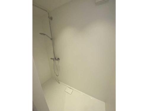 a bathroom with a shower in a white wall at Starry sky Comfortable holiday residence in Huf
