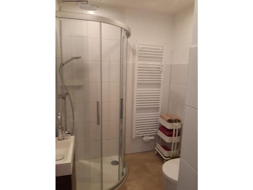 a bathroom with a shower and a sink and a toilet at Comfortable holiday residence on the lake in Herrischried