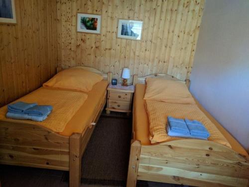 GroßwürdenにあるEul F5 with winter gardenの木製の壁の客室で、ツインベッド2台が備わります。