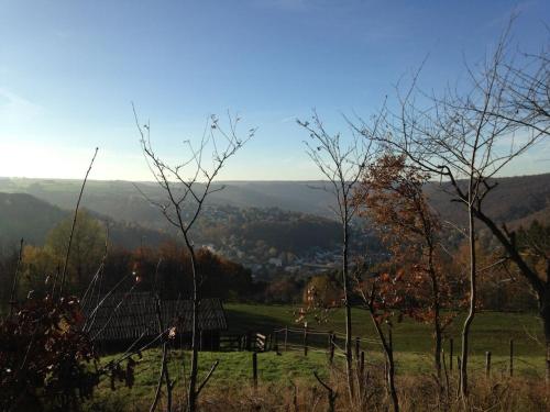 a view of a field with trees in the foreground at Mülli's Ferienwohnung Eifel in Kall