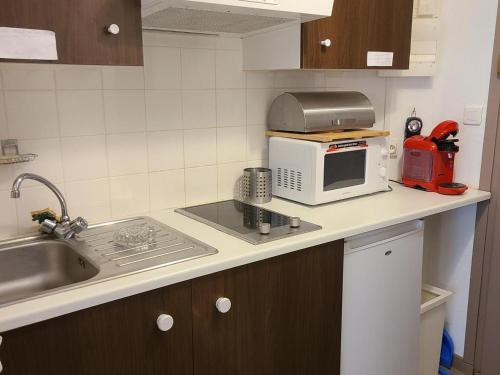 une cuisine avec un évier et un micro-ondes sur un comptoir dans l'établissement Studio cosy 4 pers. au pied des pistes à Villard-de-Lans - FR-1-689-143, à Villard-de-Lans
