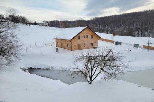Holiday Home Wi niowa with Pool and Mountains v zimě