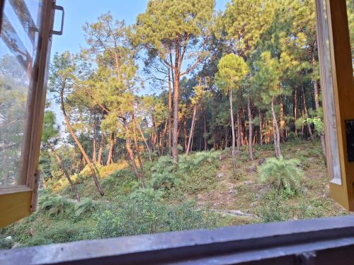 a view of a forest from a window at TATHASTU Bir -Homestay ,DORM,HOSTEL in Bīr