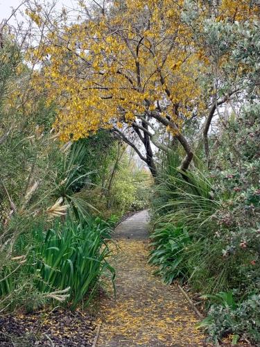 a path through a garden with trees and plants at Patons Rock Beach Villas in Takaka