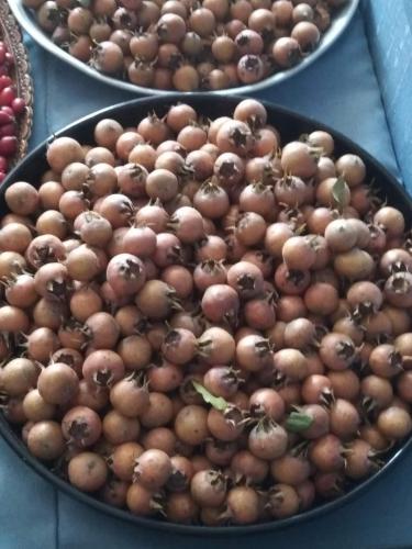 Comida en la casa de huéspedes o alrededores