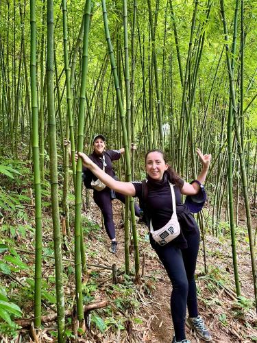 two women walking through a bamboo forest at SaPa Big Tree Hmong Homestay in Sa Pa