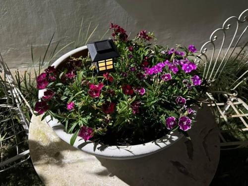 a bird house sitting in a pot of flowers at Casa Jardim in Miguel Pereira