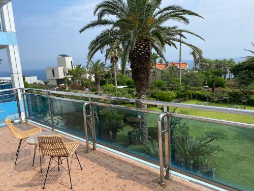 a balcony with two chairs and a palm tree at Rom House in Seogwipo