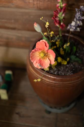 a pot with a pink flower in it at Multi-Level Forest Lodge Near Silverwood with Vintage Ice Cream Parlor & Movie Theater in Spirit Lake
