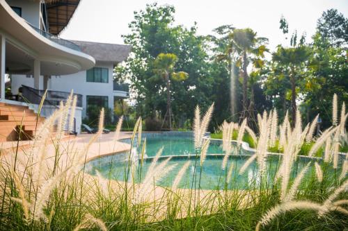 a swimming pool in front of a house with tall grass at Villa De Leaf River Kaeng Krachan in Phetchaburi