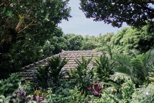 Taman di luar Villa oloo