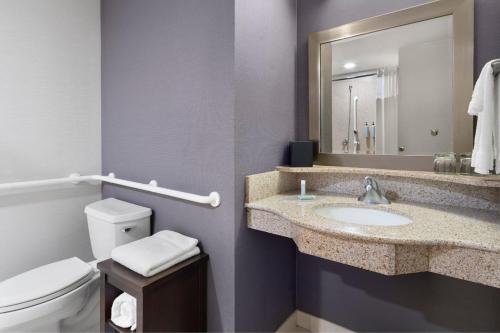a bathroom with a sink and a toilet and a mirror at Courtyard Richmond North/Glen Allen in Richmond