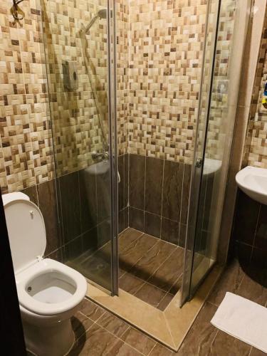 a bathroom with a shower and a toilet and a sink at palm shadow resort in Tunis