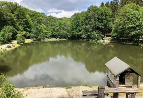 a pond with a small house in the middle of it at Handwerker willkommen in Langweiler