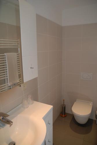 a white bathroom with a toilet and a sink at Guesthouse Les Tilleuls in Fleurus