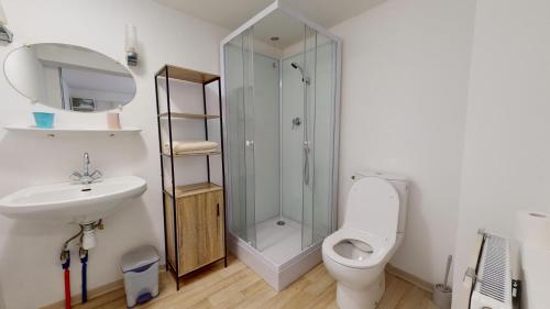 une salle de bain avec une douche, des toilettes et un lavabo dans l'établissement Le Bois Dormant 2, à Rimbach-près-Masevaux