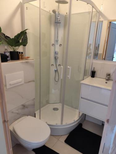 une salle de bain avec une douche, des toilettes et un lavabo dans l'établissement Studio Garden Parking Airport Eurexpo Groupama Stadium, à Genas