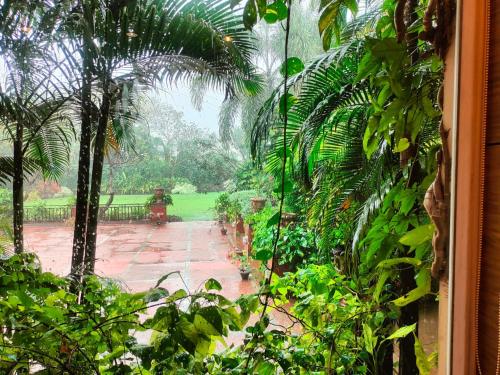 a window view of a garden with a palm tree at La Franklin Hotel in Bhubaneshwar