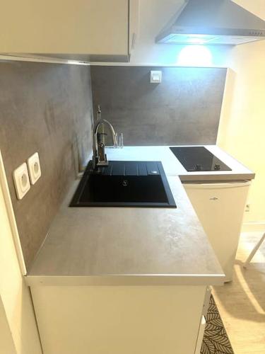 un comptoir de cuisine avec un évier et un évier dans l'établissement Résidence Champenoise 1 , Troyes - France, à Troyes