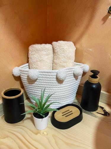 a basket with towels and a potted plant on a table at Apartman Durtanoski 1 in Mali Mokri Lug