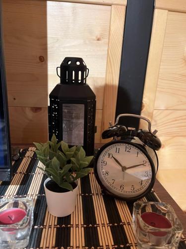 a clock and a potted plant on a table at Apartman Durtanoski 1 in Mali Mokri Lug