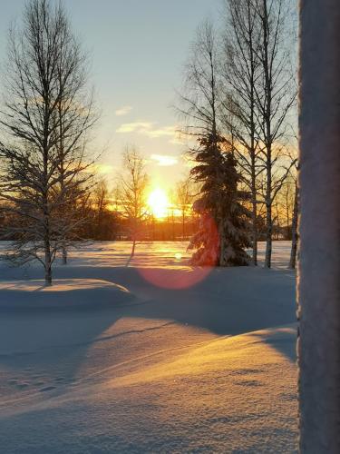a sunset in a snow covered field with trees at Dabas Osta in Jūdaži