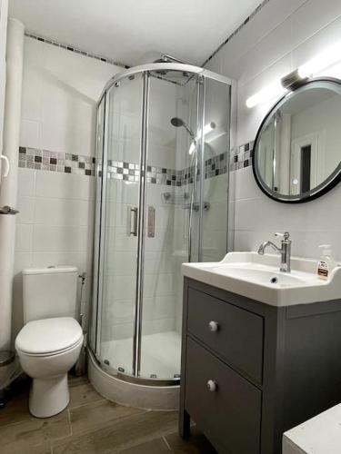 une salle de bain avec une douche, des toilettes et un lavabo dans l'établissement Eden urbain au centre ville, à Chalon-sur-Saône