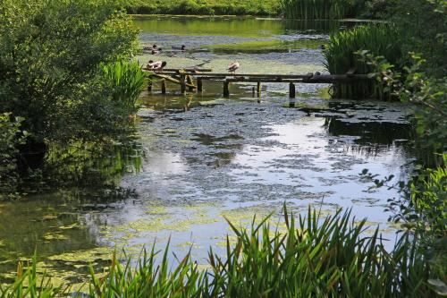 Φωτογραφία από το άλμπουμ του Haselbury Mill σε Crewkerne