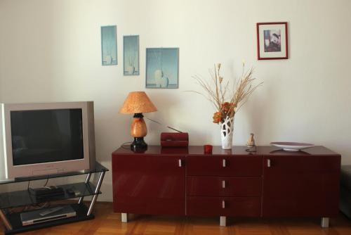 TV a/nebo společenská místnost v ubytování Apartment Daniel